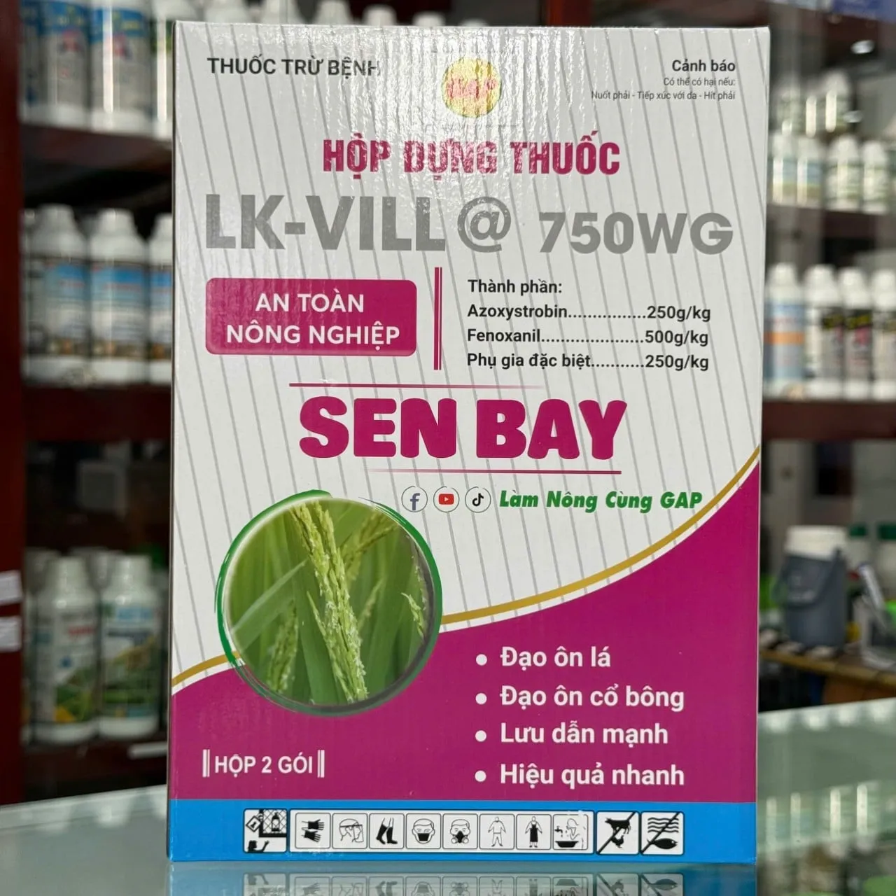 Cặp SEN BAY